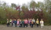 26.09.2024r. Zajęcia las park w Gr. Sarenek 1