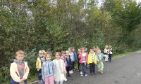 26.09.2024r. Zajęcia las park w Gr. Sarenek 1